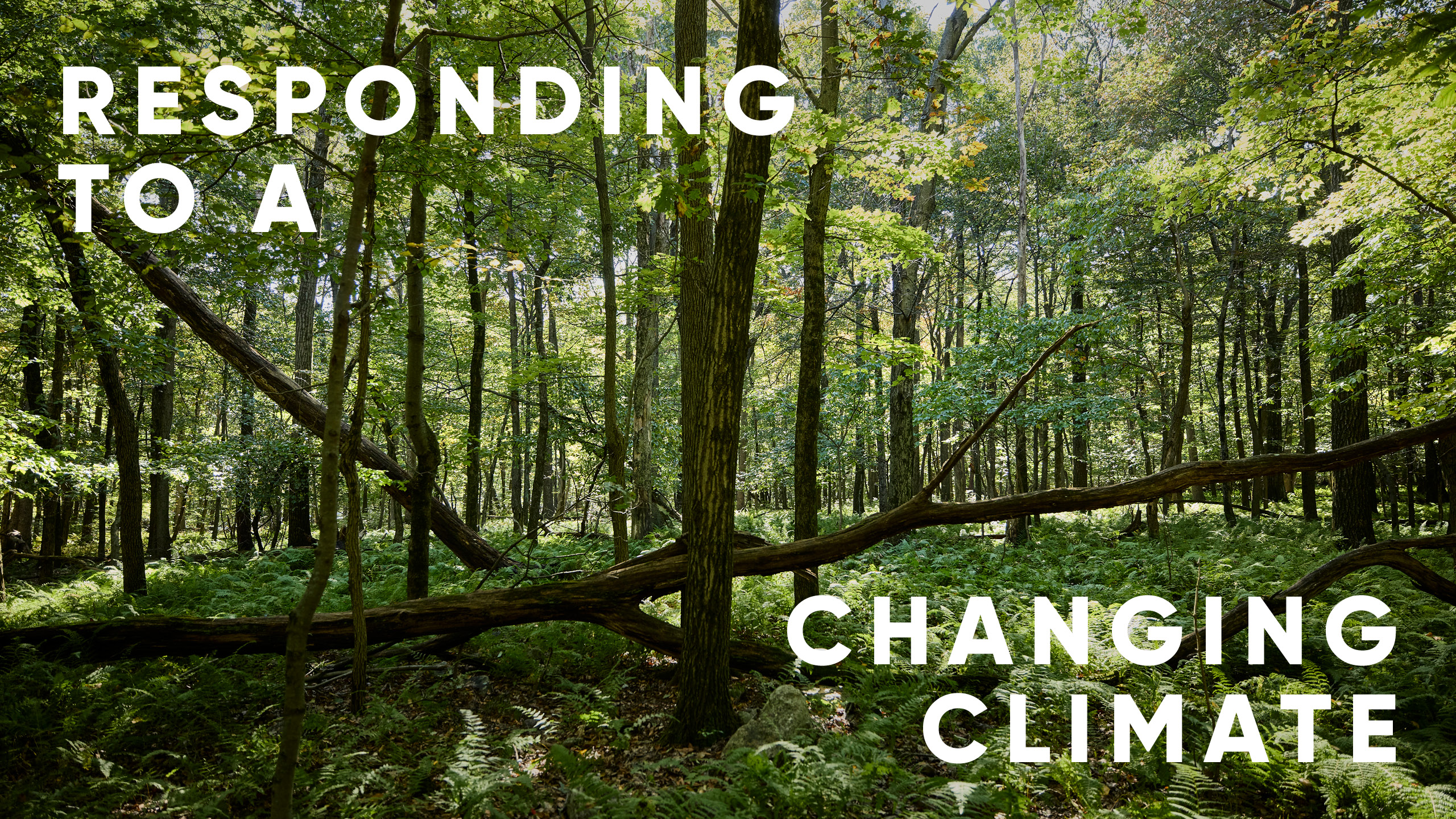 Responding to a changing climate