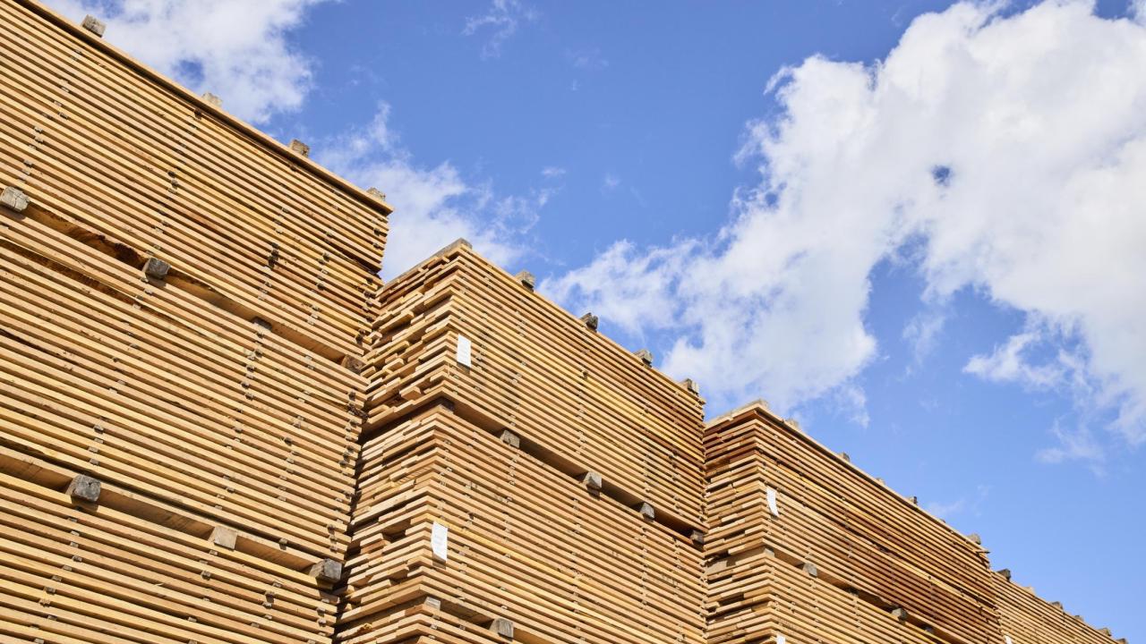 American hardwood lumber