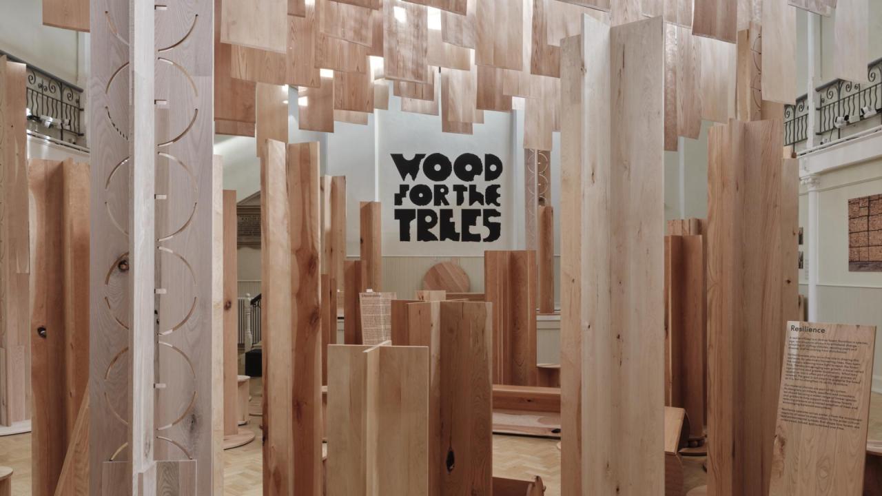 Wood for the Trees exhibition photo at Shoreditch Tab Centre