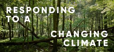 Responding to a changing climate