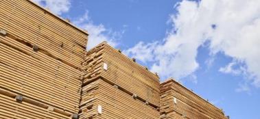 American hardwood lumber
