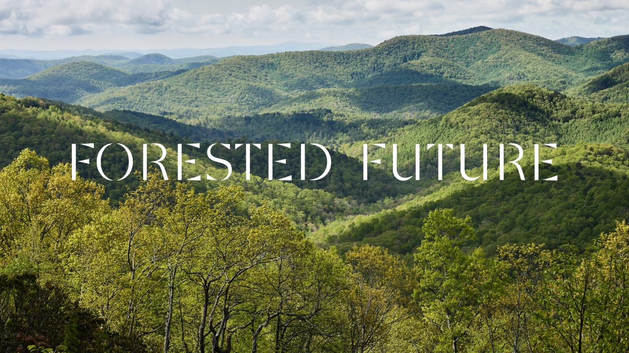 Forested Future