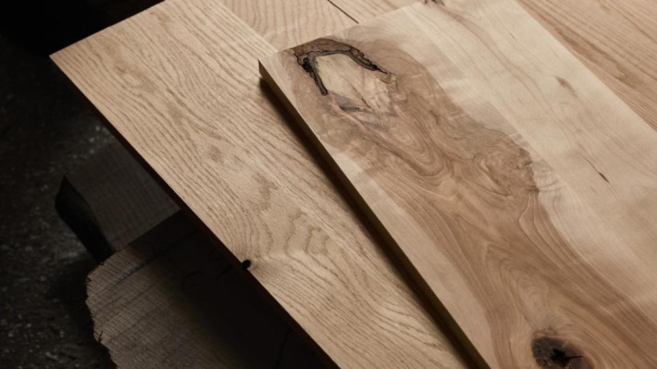 woodforthetrees