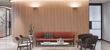 Yancoal Hammond Studio S13 143 final landthumb